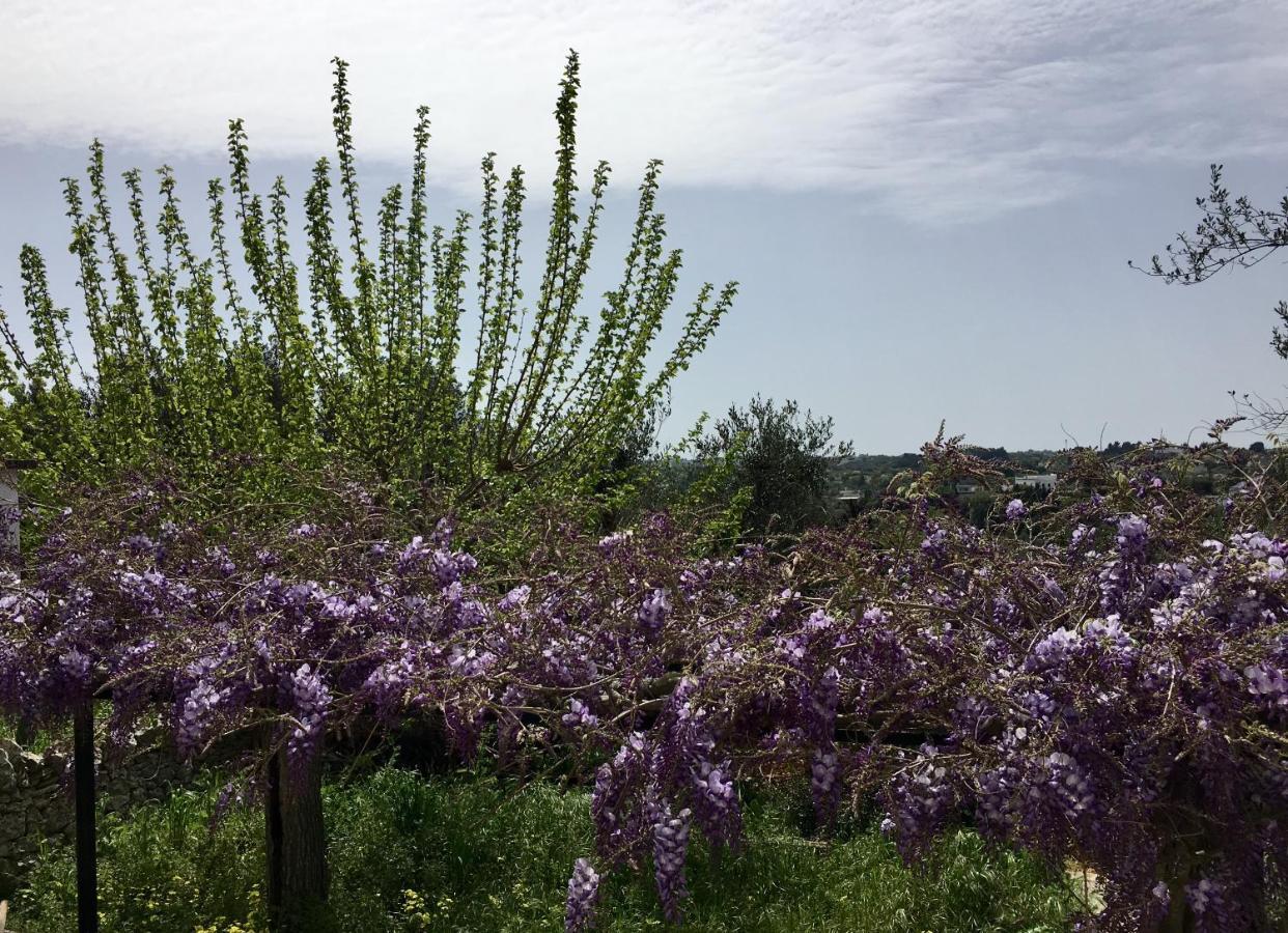 Villa Enea Monopoli Εξωτερικό φωτογραφία