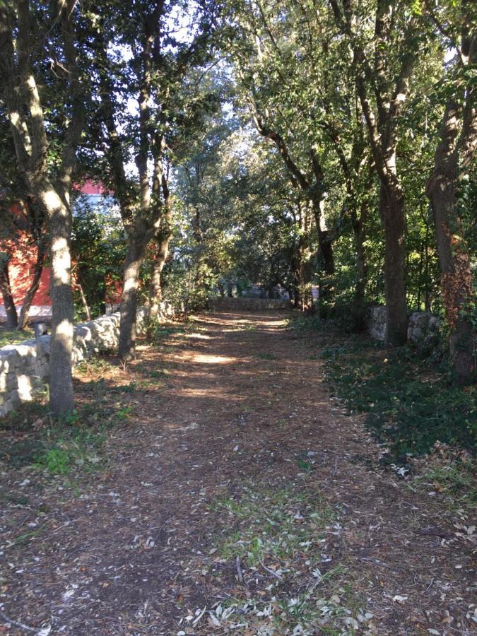 Villa Enea Monopoli Εξωτερικό φωτογραφία